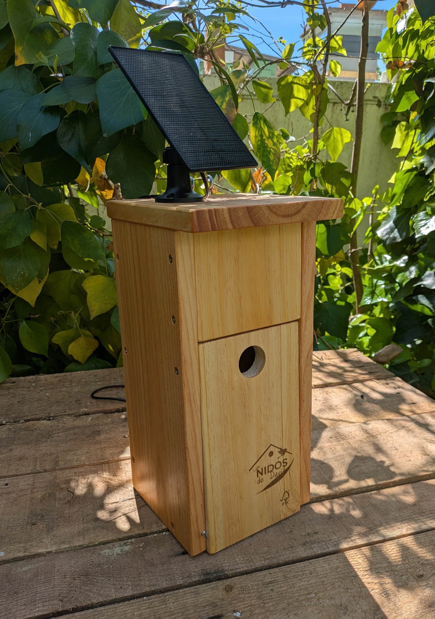 Caja nido para páridos con cámara Wifi - Los Nidos de David