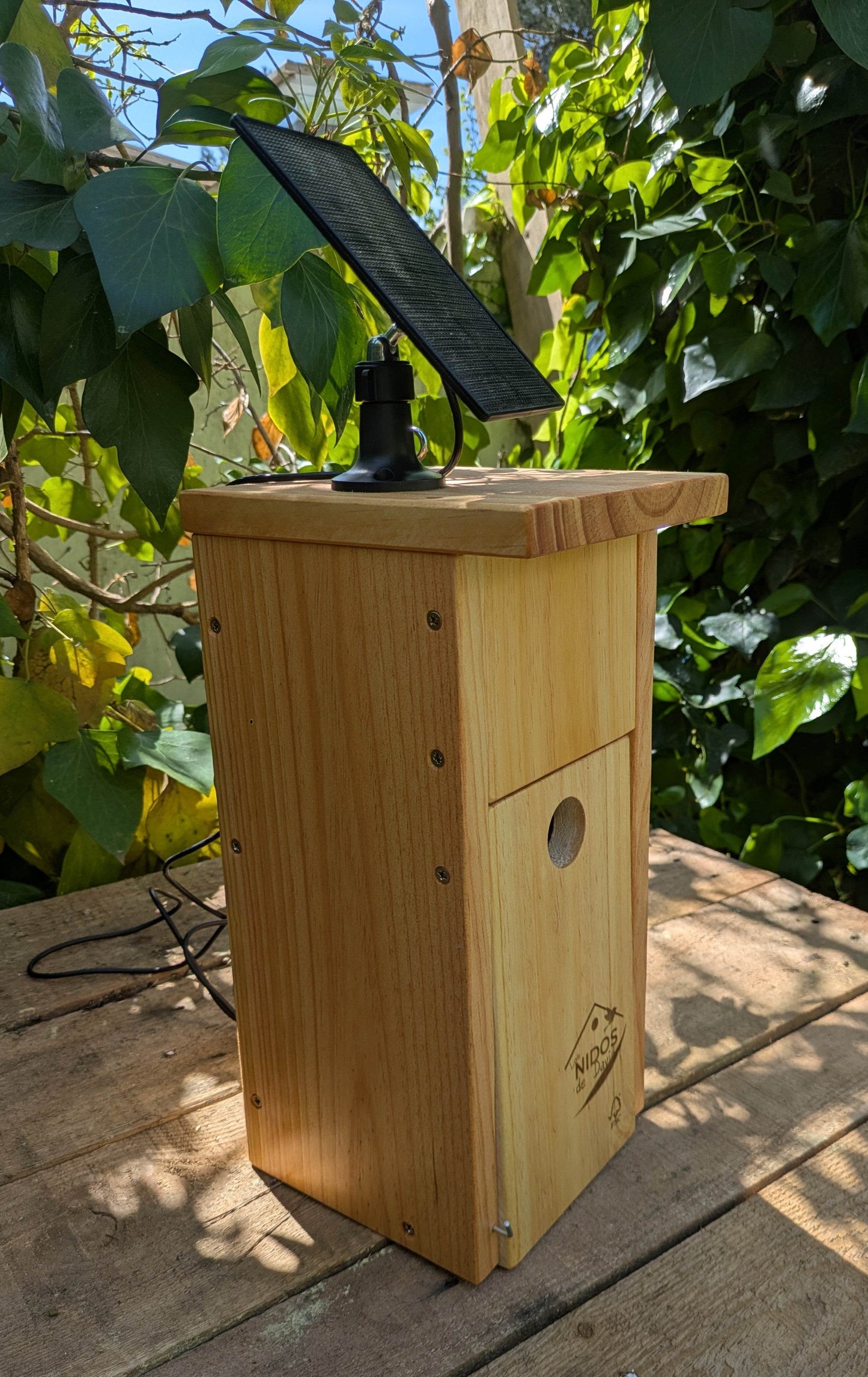 Caja nido para páridos con cámara Wifi - Los Nidos de David