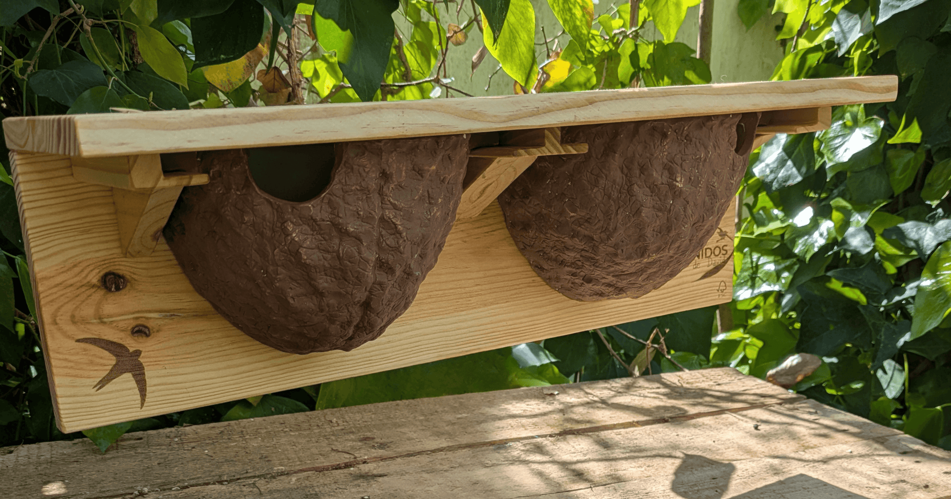 Caja nido para avión común - Los Nidos de David