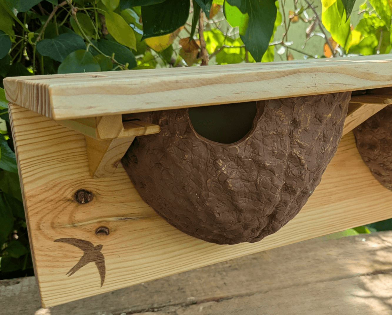 Caja nido para avión común - Los Nidos de David