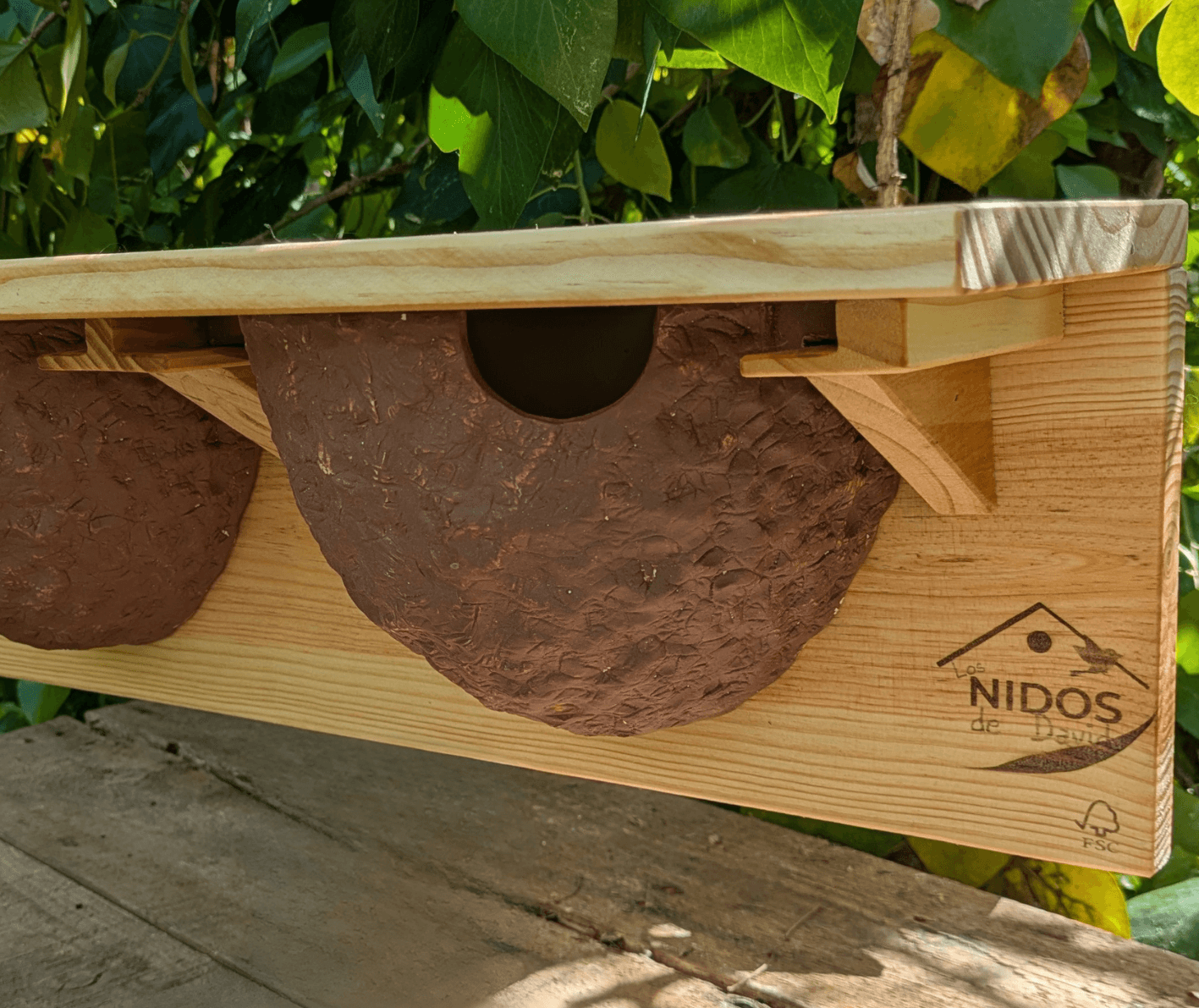 Caja nido para avión común - Los Nidos de David