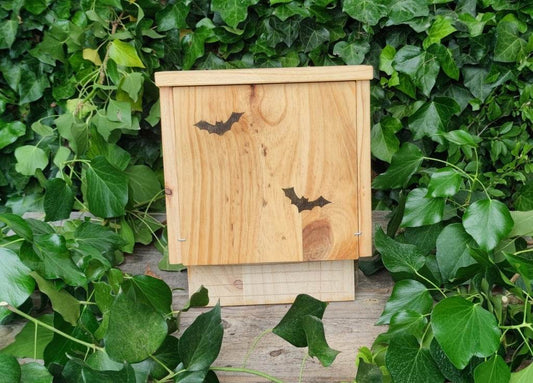 Caja-refugio para murciélagos modelo fachada - Los Nidos de David