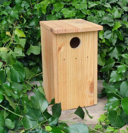 Caja nido para abubilla común - Los Nidos de David