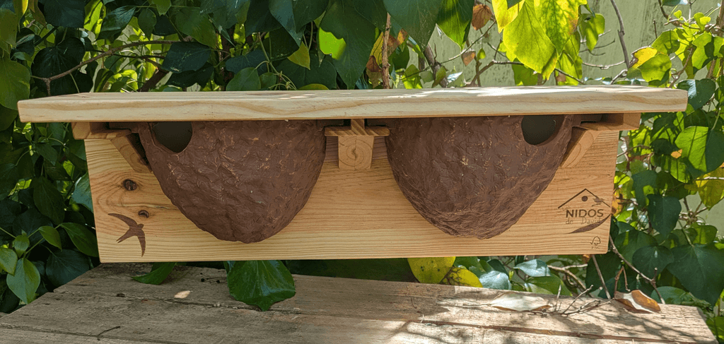 Caja nido para avión común - Los Nidos de David