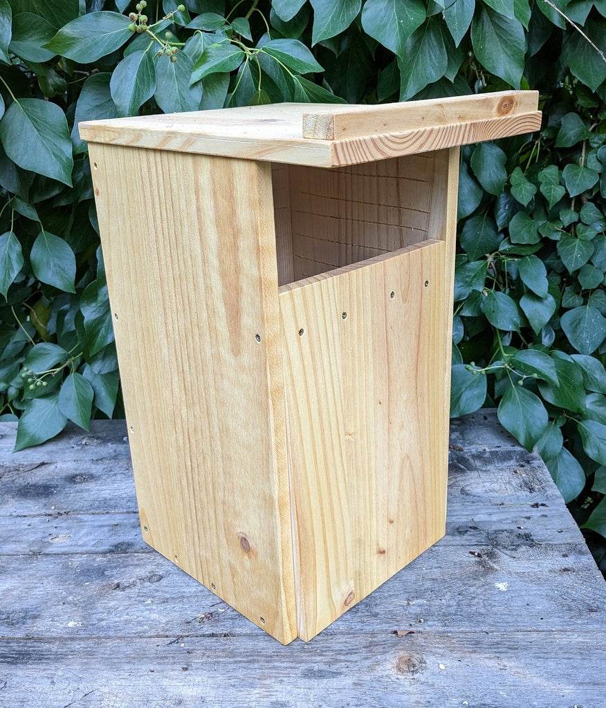 Caja nido para cárabo común - Los Nidos de David