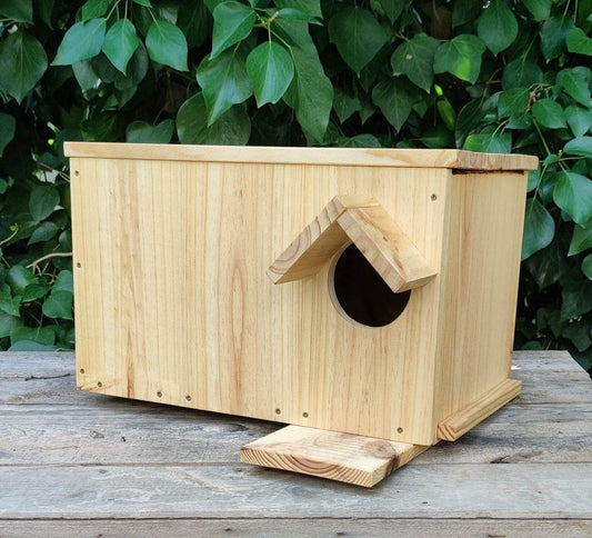 Caja nido para cernícalo vulgar modelo Falco - Los Nidos de David