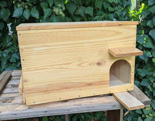 Caja nido para lechuza común - Los Nidos de David