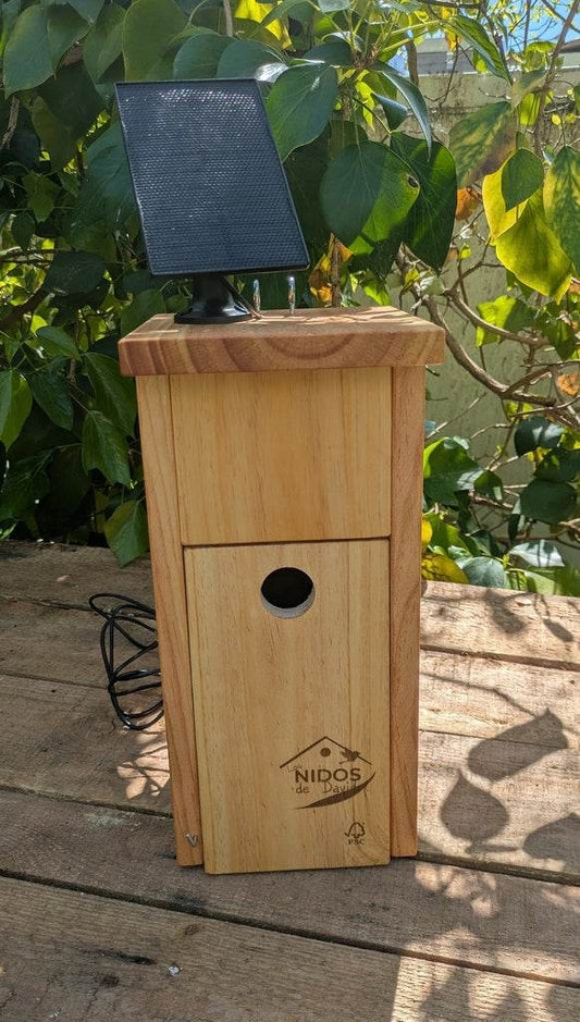 Caja nido para páridos con cámara Wifi - Los Nidos de David