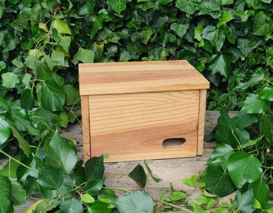 Caja nido para vencejo común y vencejo pálido modelo Elena - Los Nidos de David