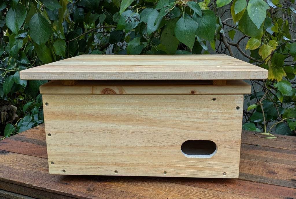 Caja nido para vencejo real - Los Nidos de David