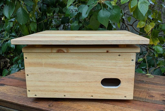 Caja nido para vencejo real - Los Nidos de David