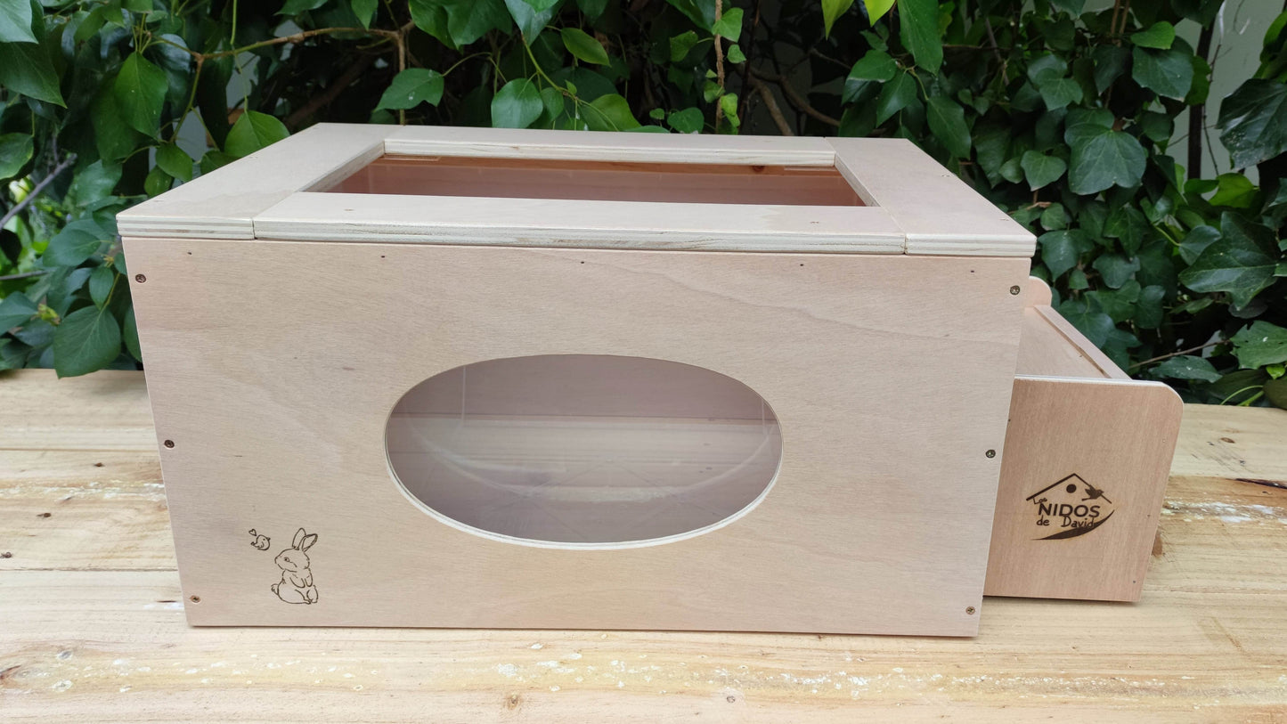 Caja de excavación - Los Nidos de David