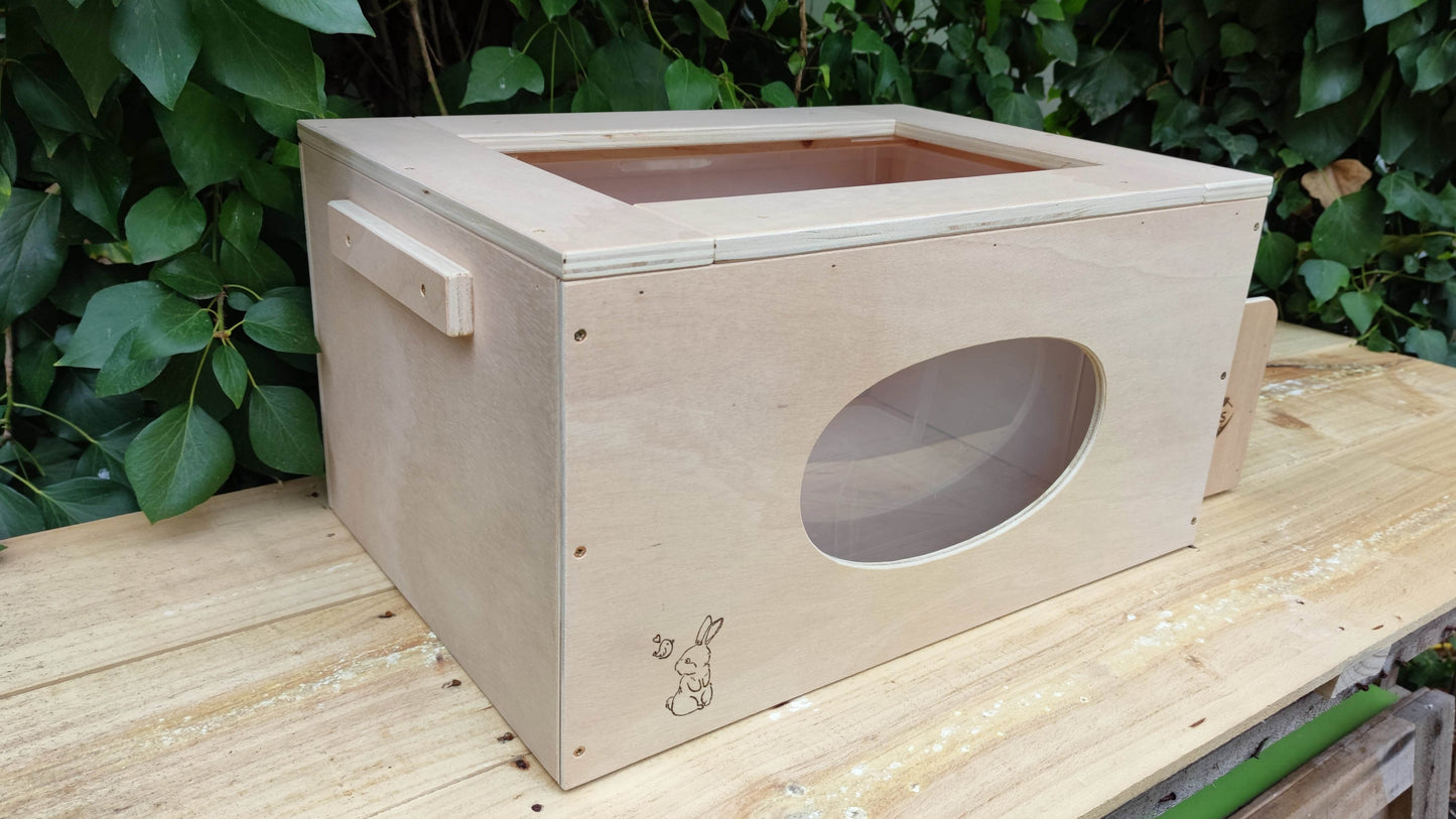 Caja de excavación - Los Nidos de David