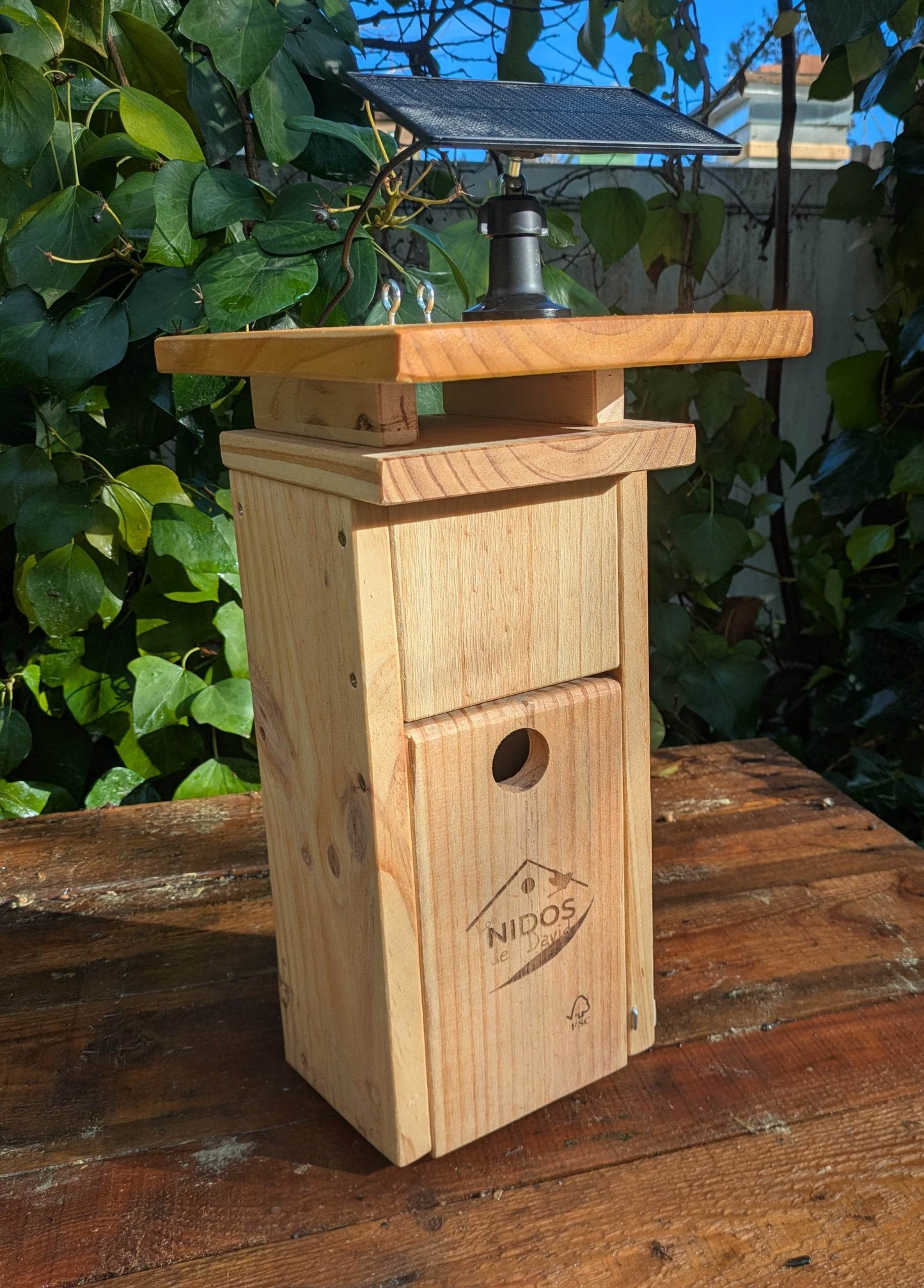 Caja nido para páridos con cámara Wifi - Los Nidos de David