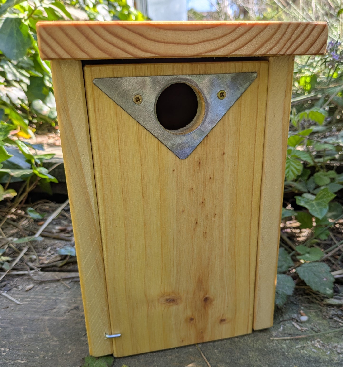 Caja nido básica para páridos