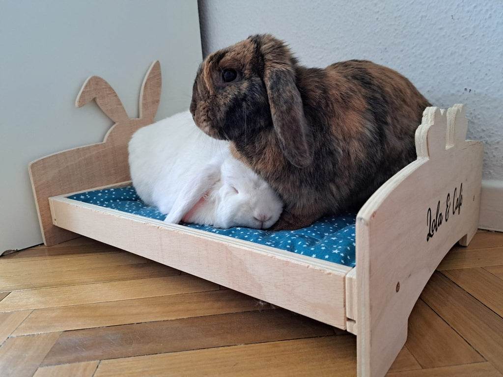 Cama para conejos - Los Nidos de David