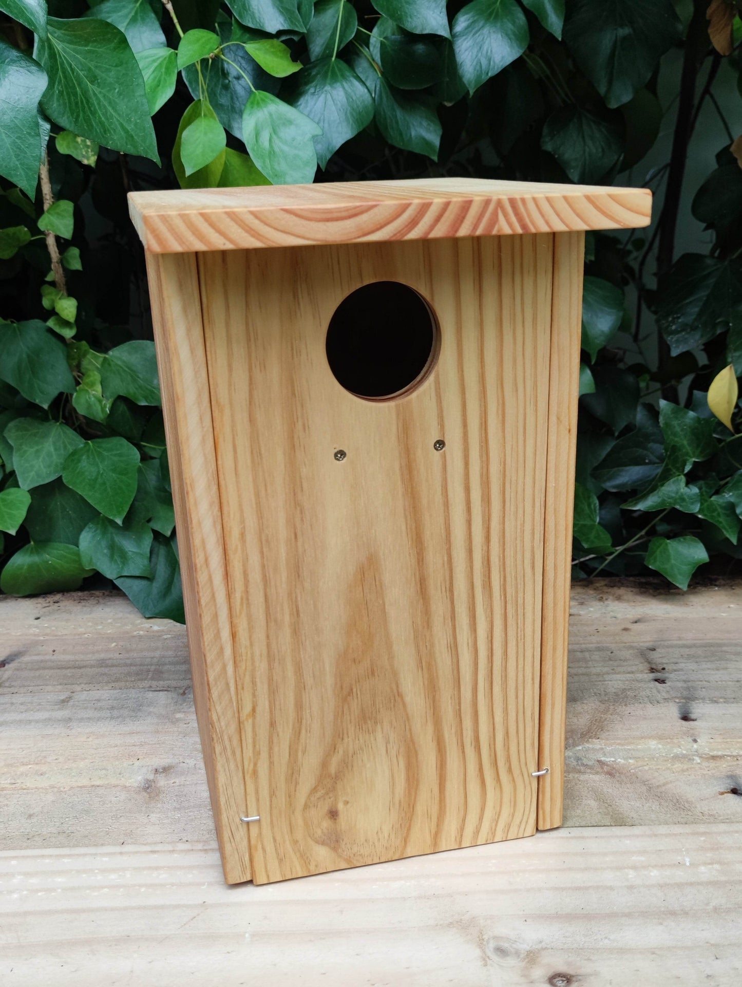 Caja nido para carraca europea - Los Nidos de David