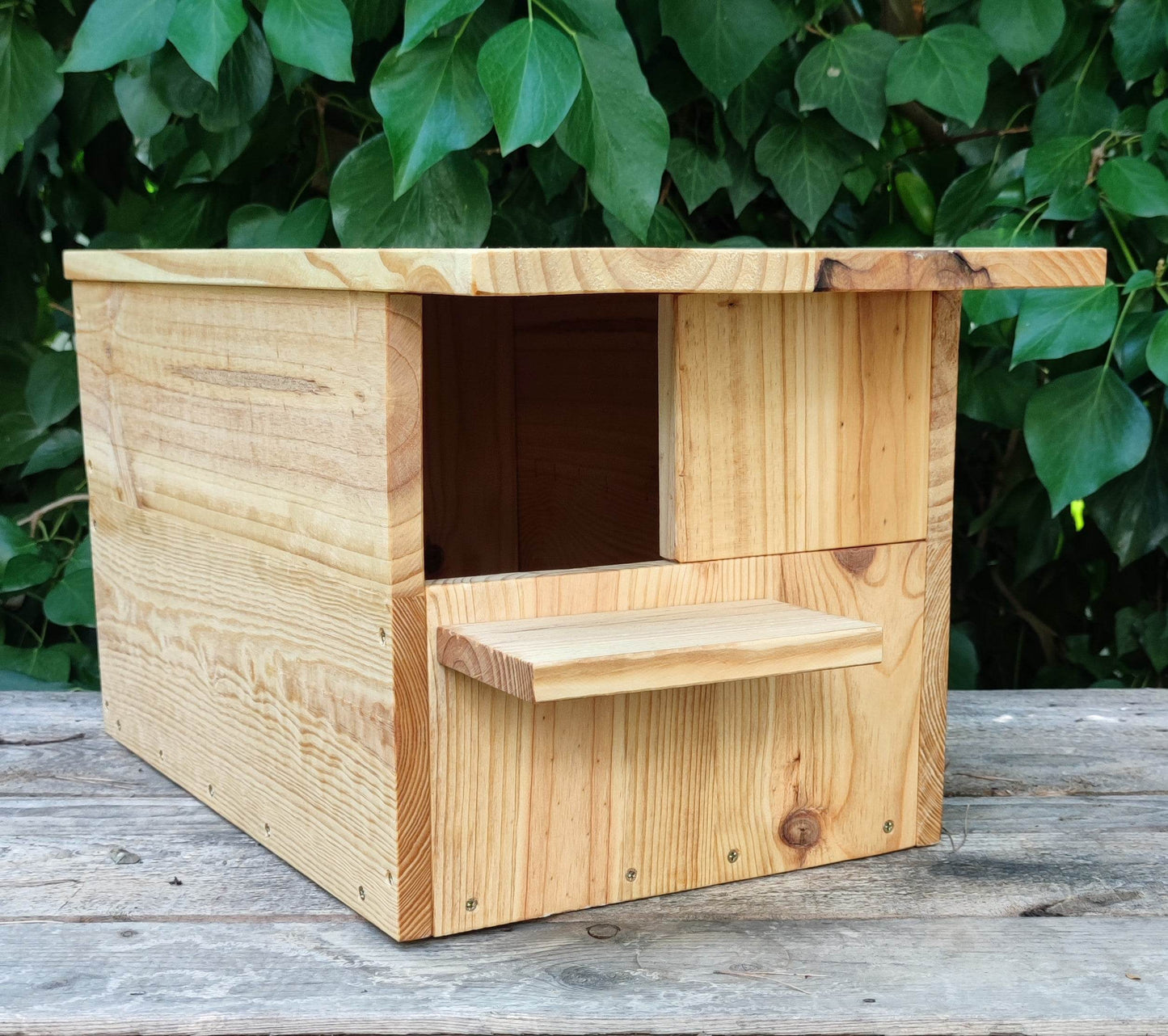 Caja nido para cernícalo vulgar modelo Kestrel - Los Nidos de David