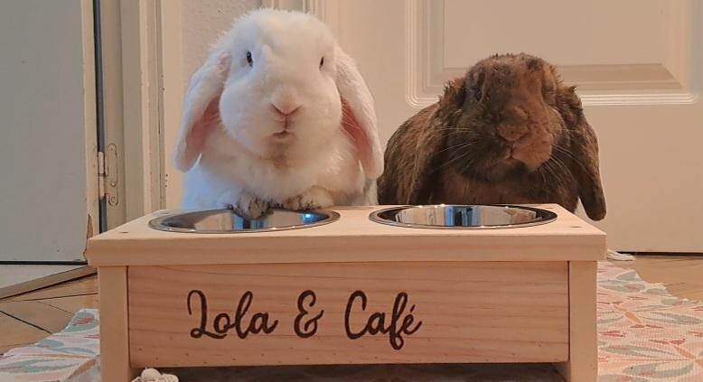 Comedero doble para conejos - Los Nidos de David