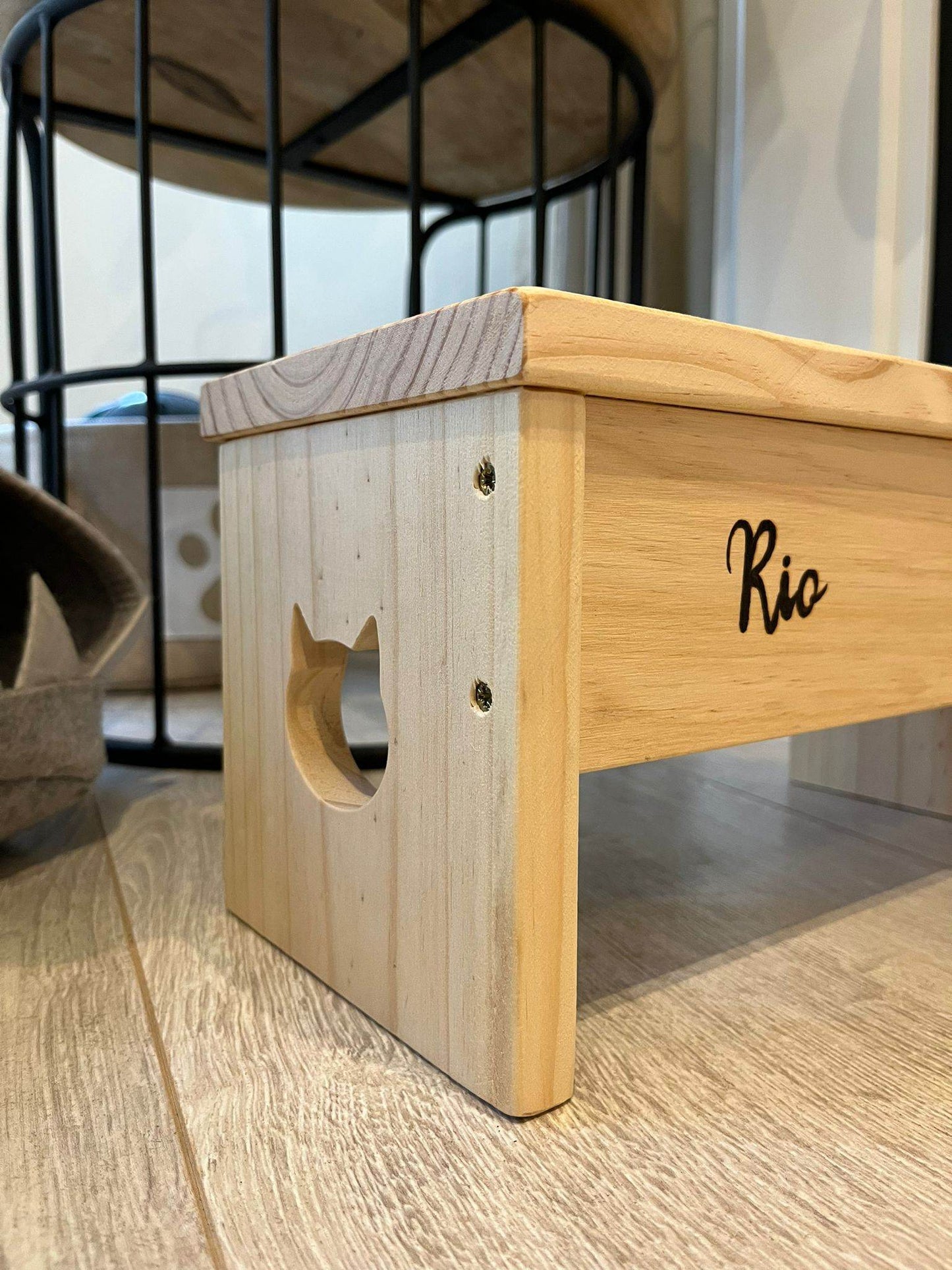 Comedero elevado para gatos - Los Nidos de David