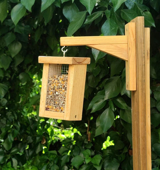 Escuadras - Los Nidos de David