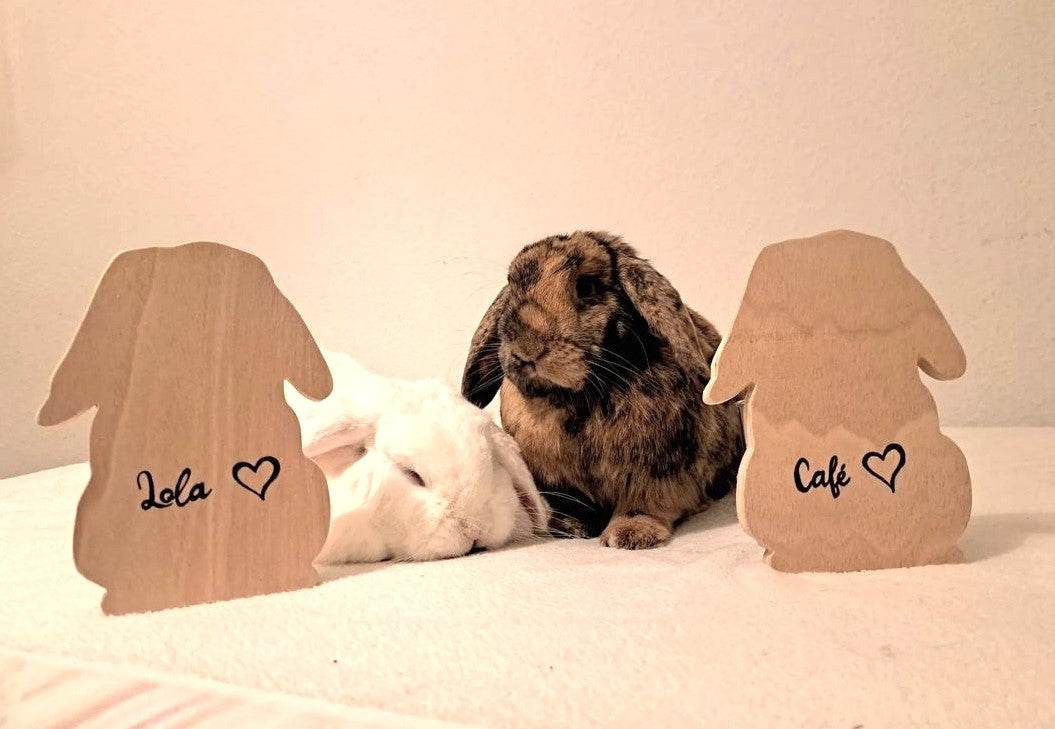 Figuras de conejo de madera - Los Nidos de David