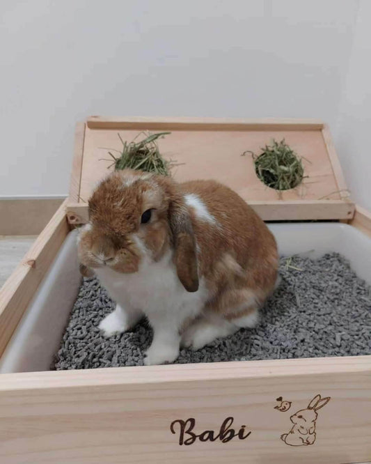 Henera especial rinitis con bordes elevados - Los Nidos de David