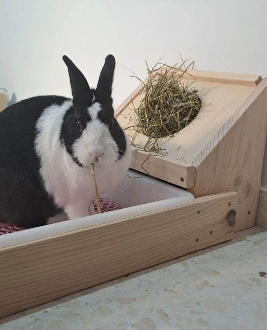 Henera especial rinitis - Los Nidos de David