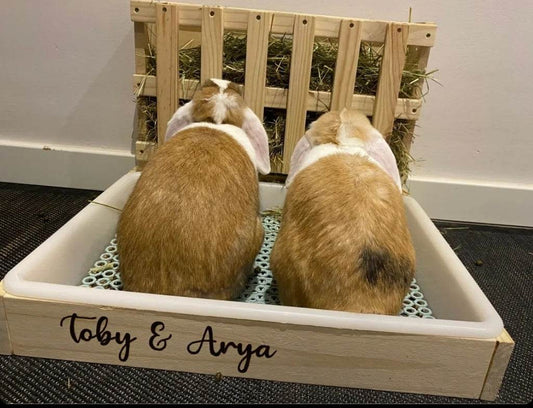 Henera para conejos (tallas S a XL) - Los Nidos de David