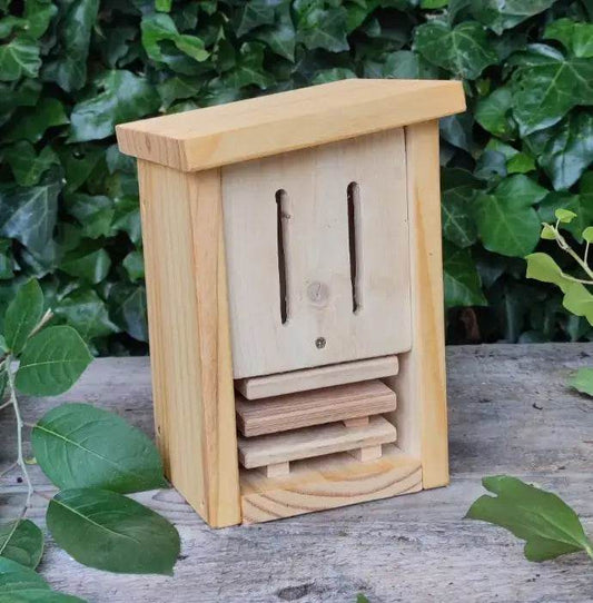 Hotel de mariposas Mini - Los Nidos de David