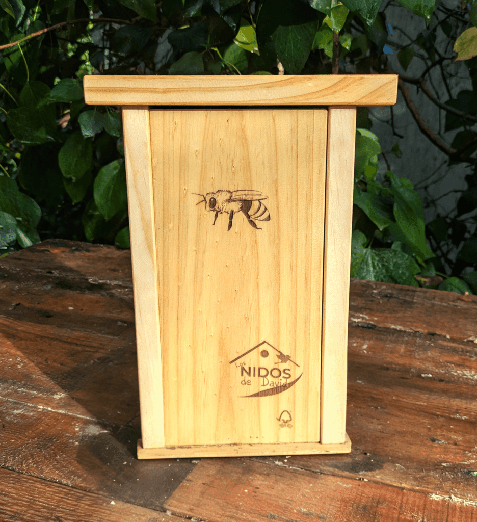 Hotel de observación para abejas solitarias - Los Nidos de David