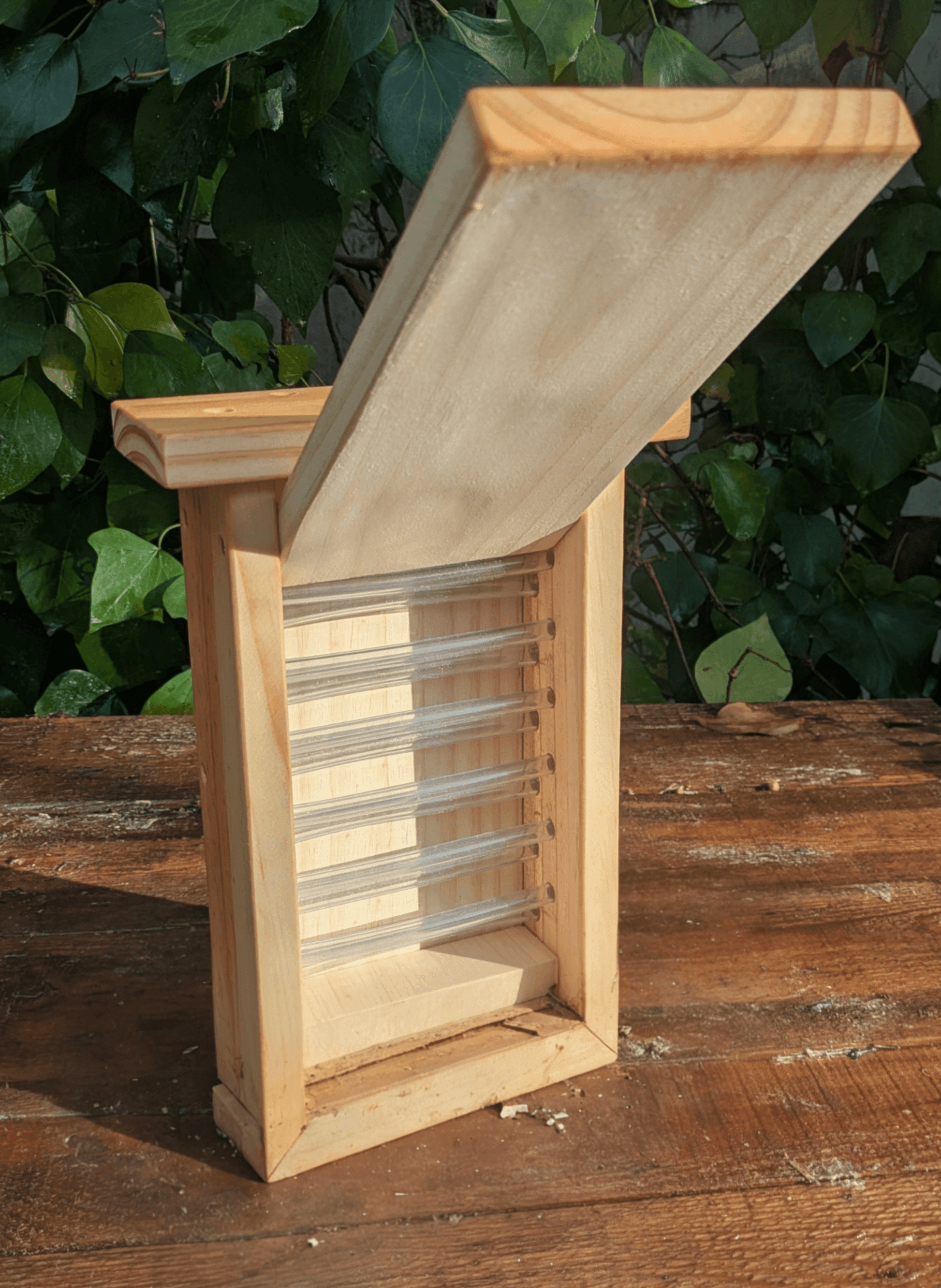 Hotel de observación para abejas solitarias - Los Nidos de David