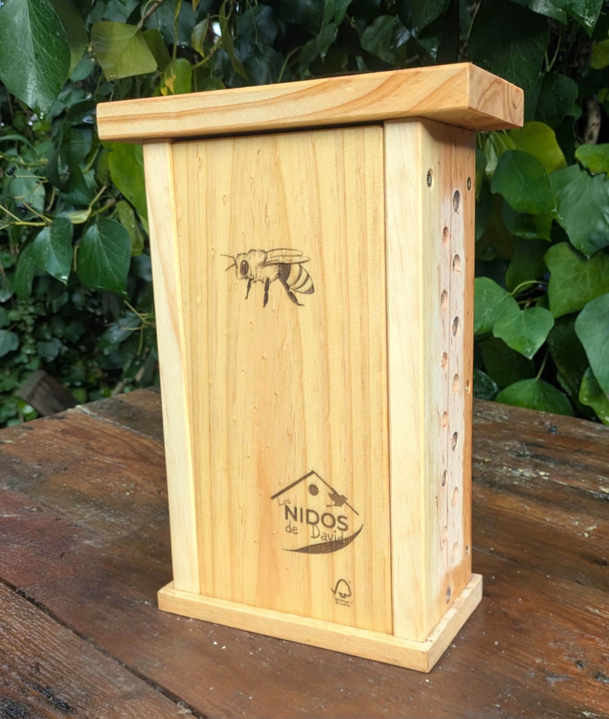 Hotel de observación para abejas solitarias - Los Nidos de David
