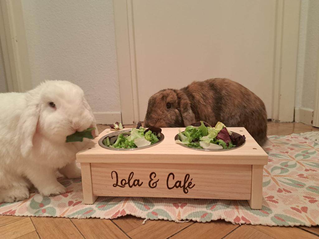 Comedero doble para conejos - Los Nidos de David