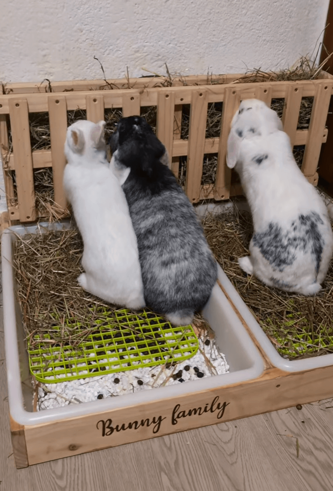 Henera para conejos Maxi - Los Nidos de David