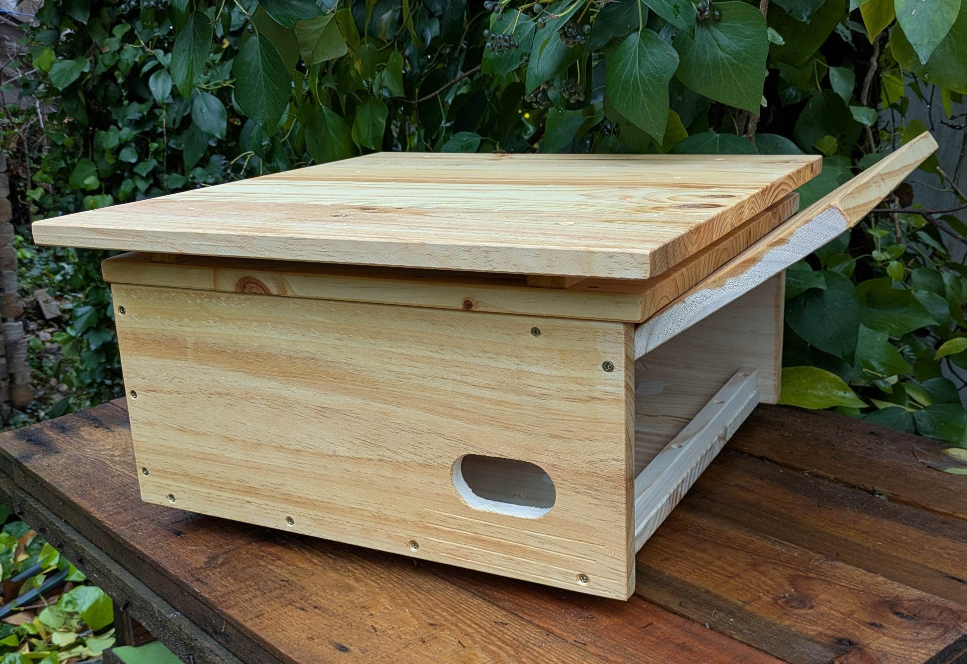 Caja nido para vencejo real - Los Nidos de David