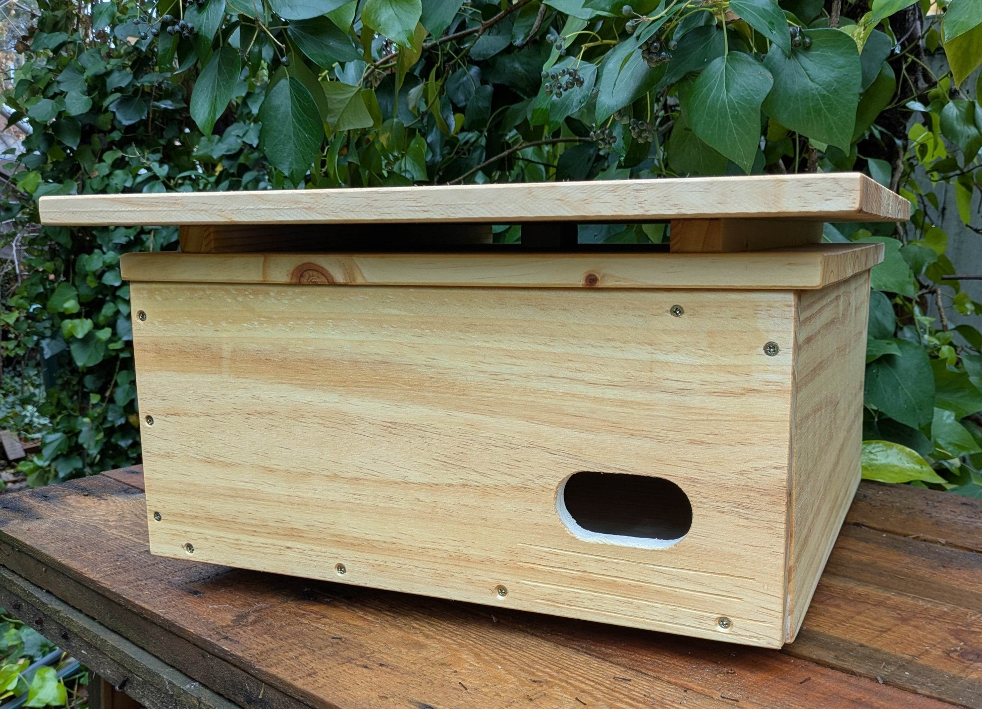 Caja nido para vencejo real - Los Nidos de David