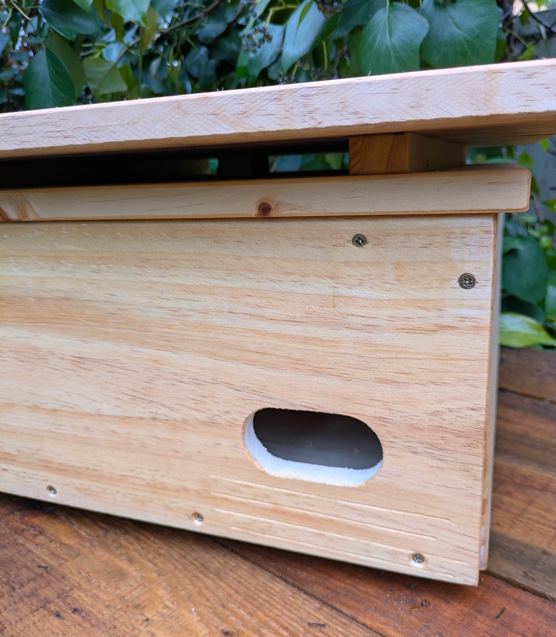 Caja nido para vencejo real - Los Nidos de David