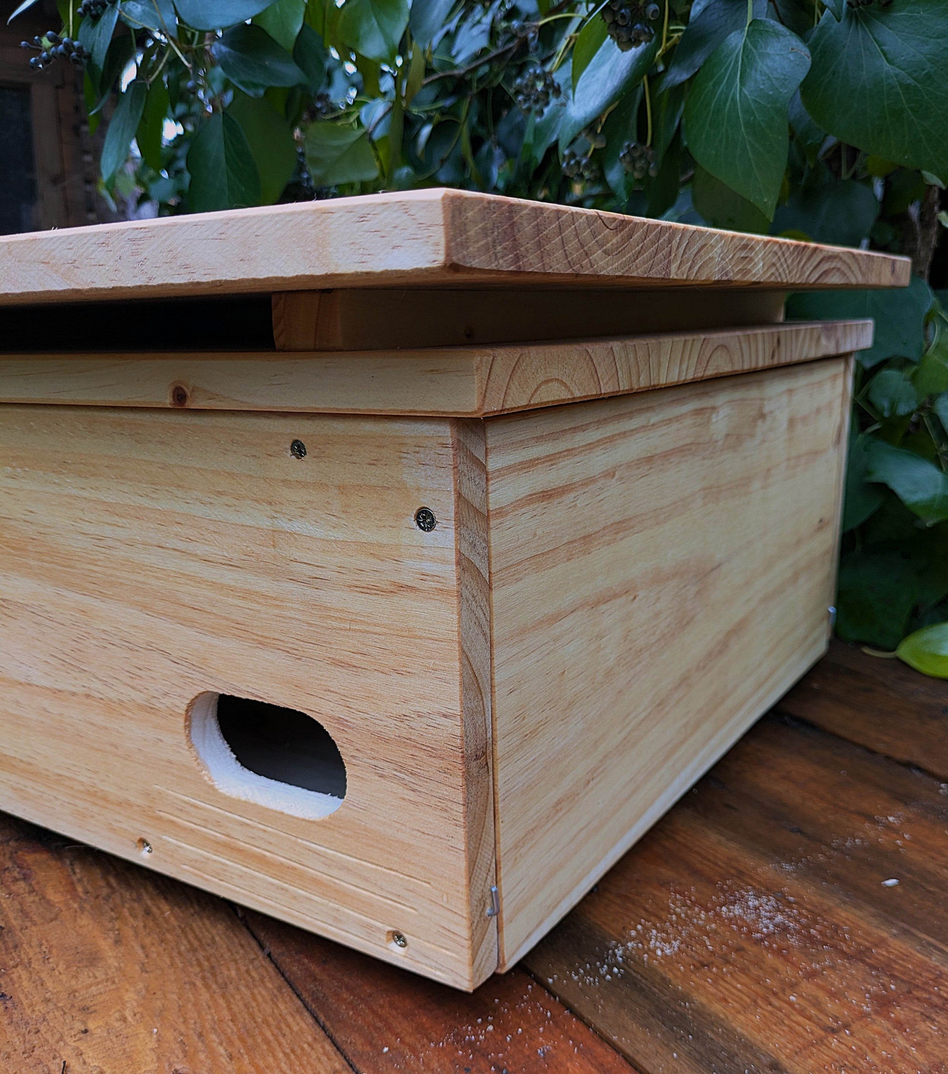 Caja nido para vencejo real - Los Nidos de David