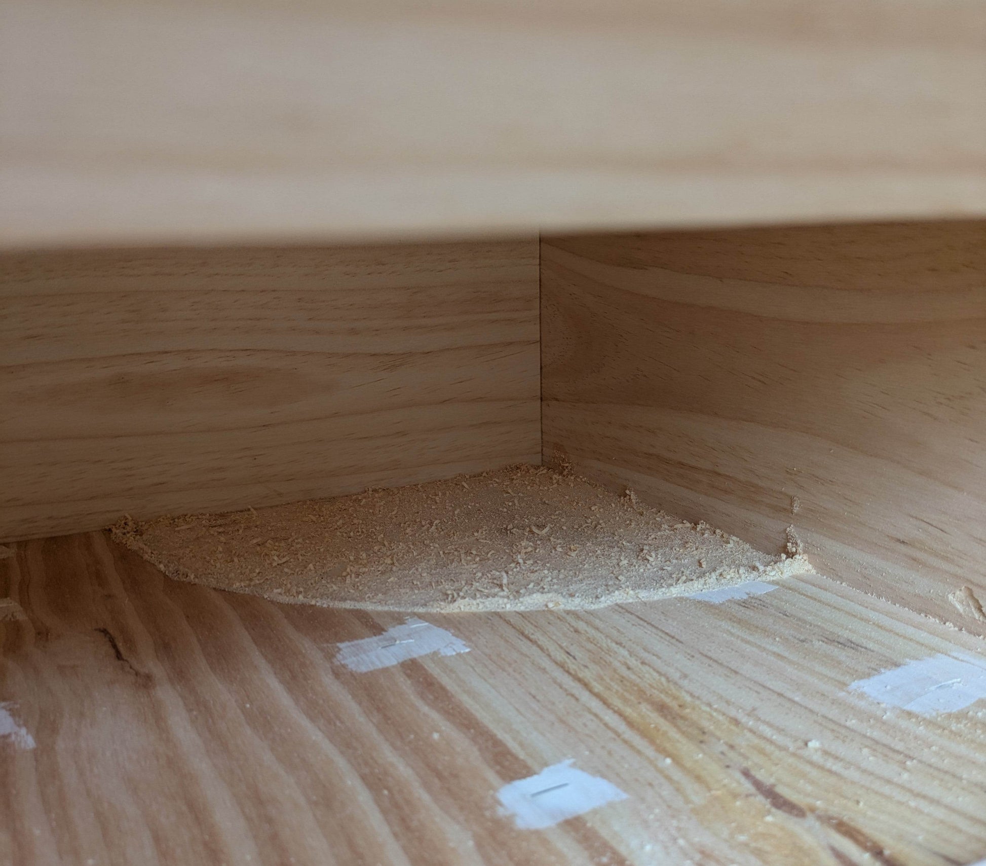 Caja nido para vencejo real - Los Nidos de David