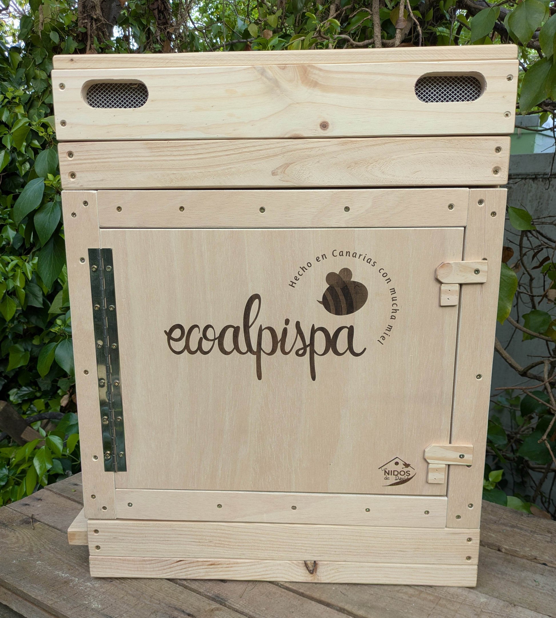 Colmena de observación para abejas melíferas - Los Nidos de David