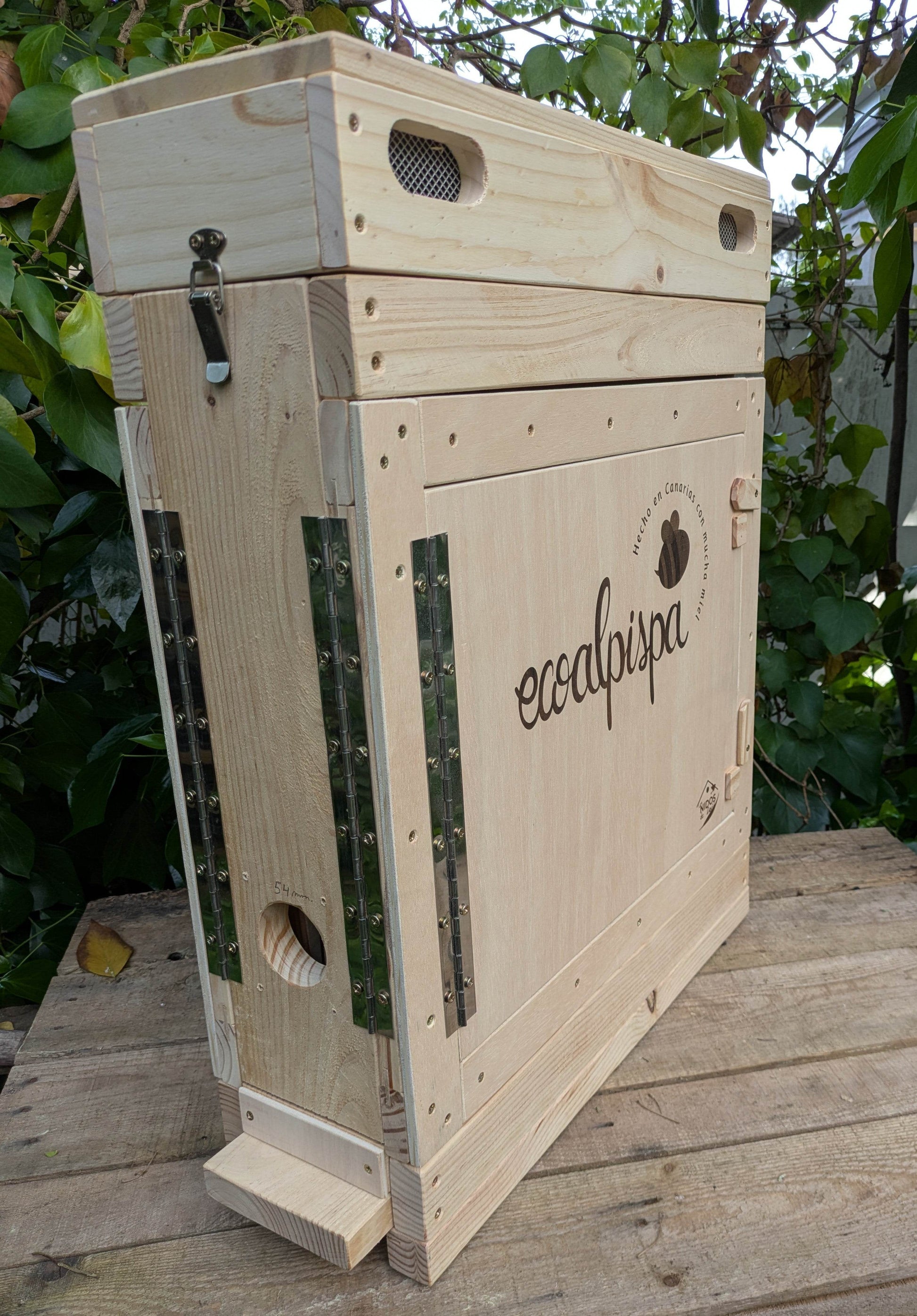 Colmena de observación para abejas melíferas - Los Nidos de David