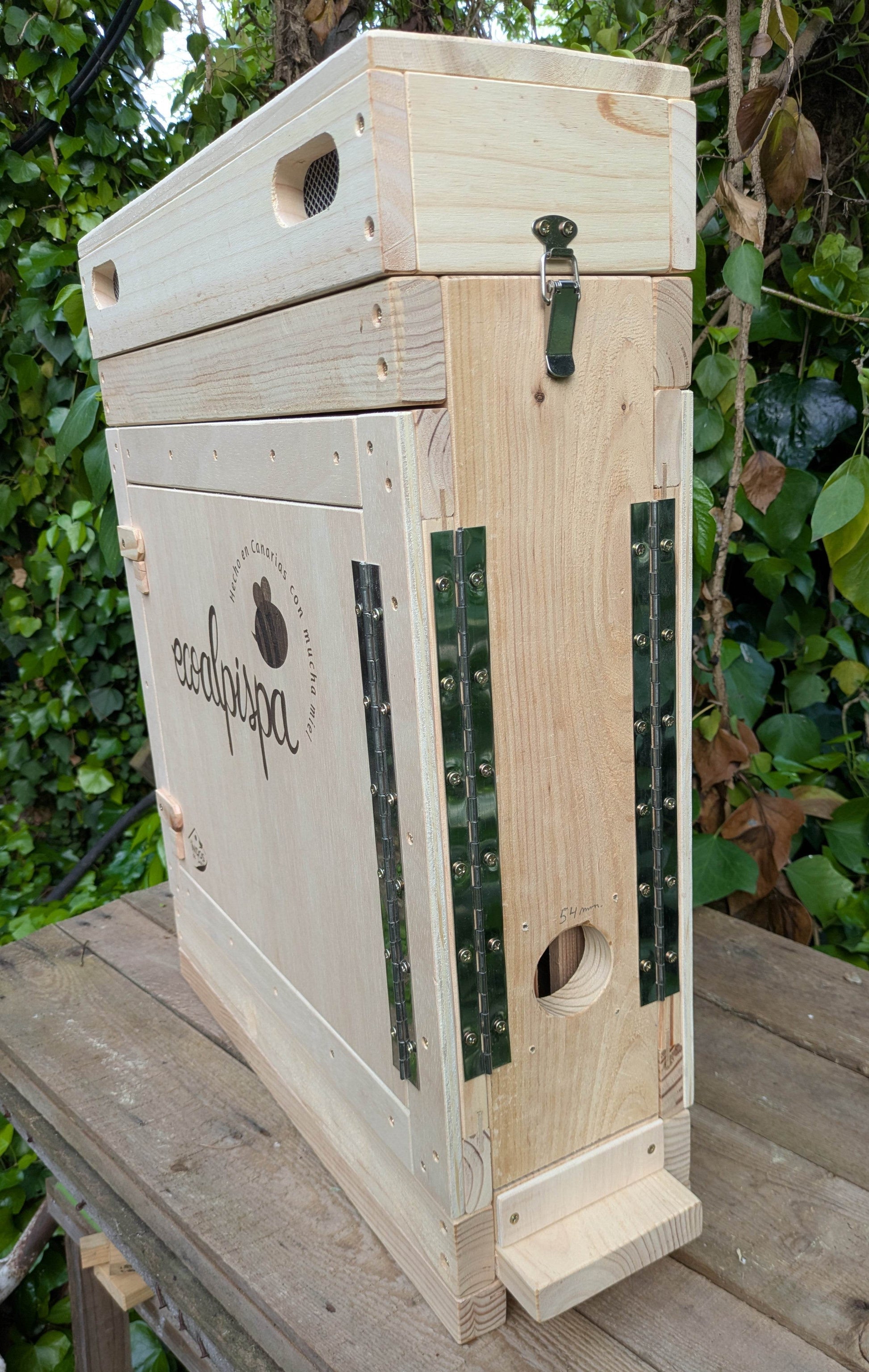 Colmena de observación para abejas melíferas - Los Nidos de David