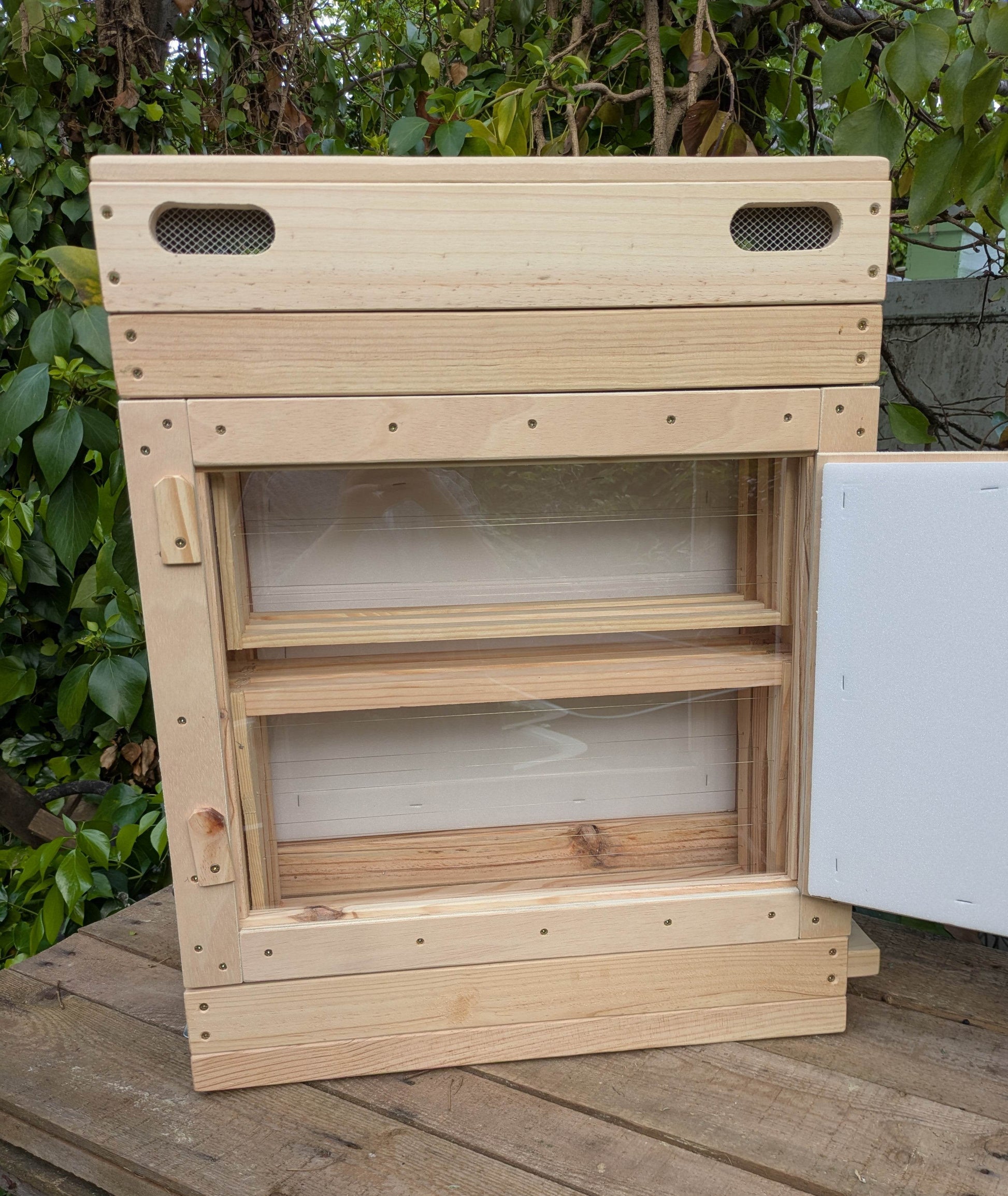 Colmena de observación para abejas melíferas - Los Nidos de David