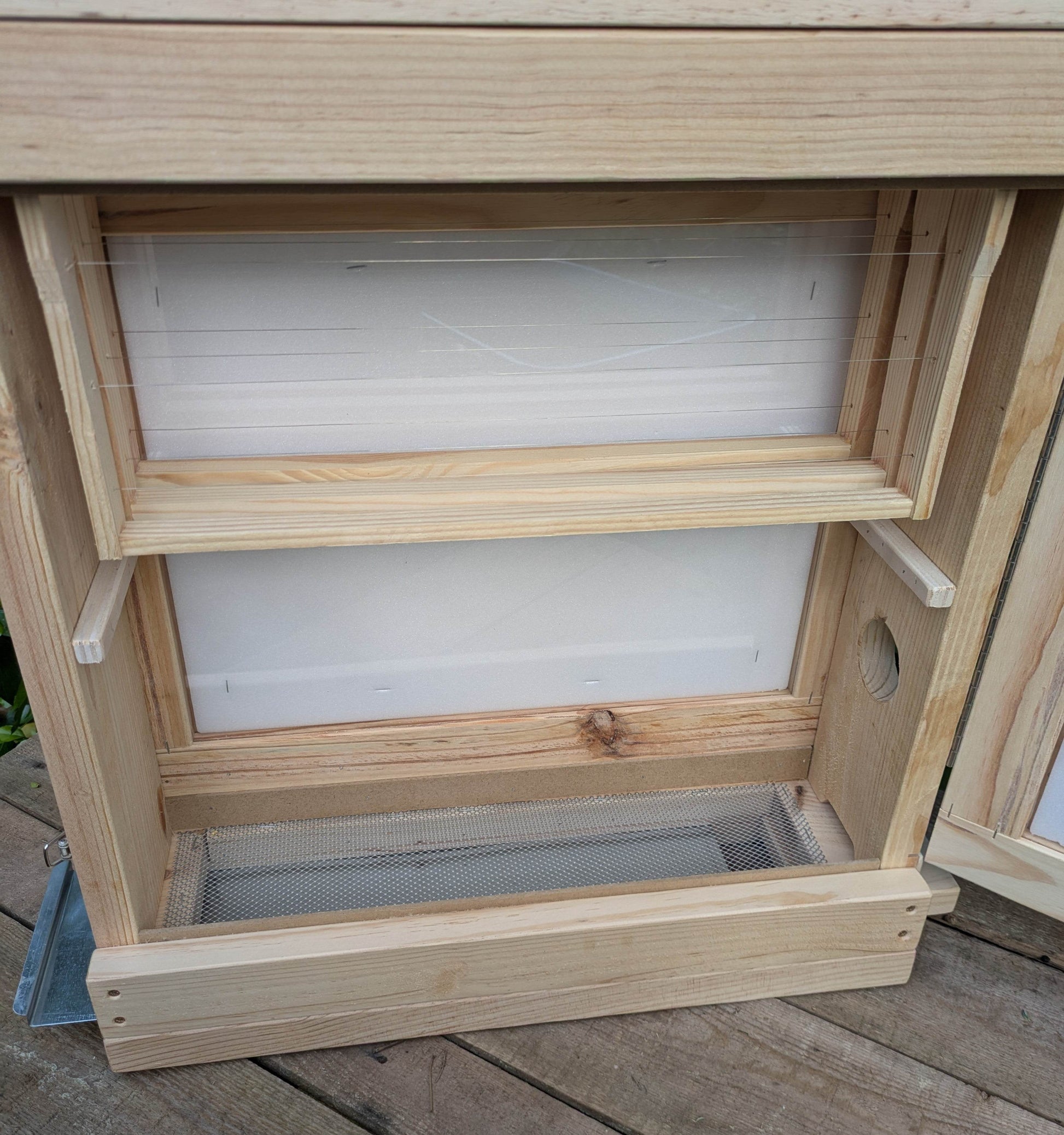 Colmena de observación para abejas melíferas - Los Nidos de David