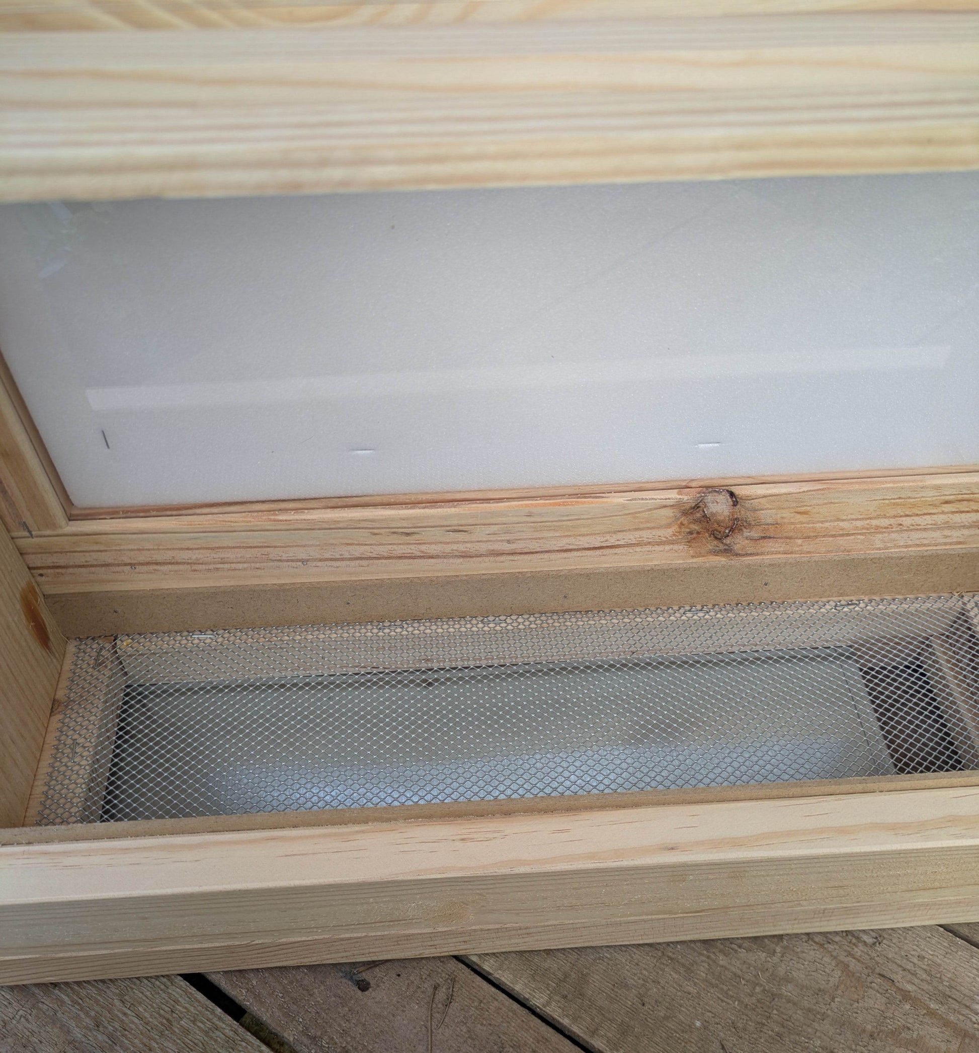 Colmena de observación para abejas melíferas - Los Nidos de David