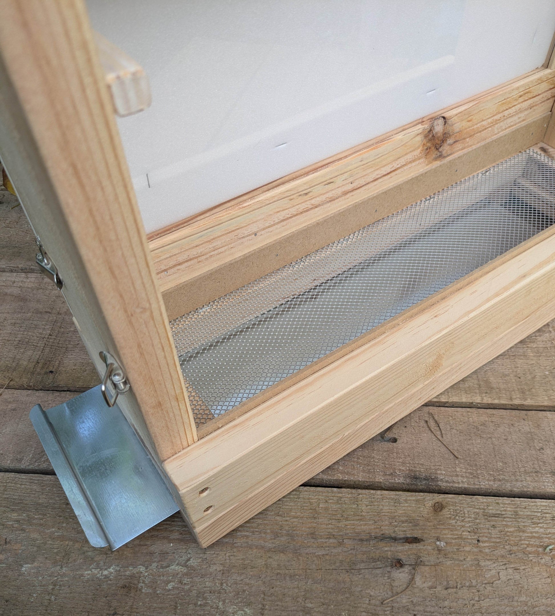 Colmena de observación para abejas melíferas - Los Nidos de David