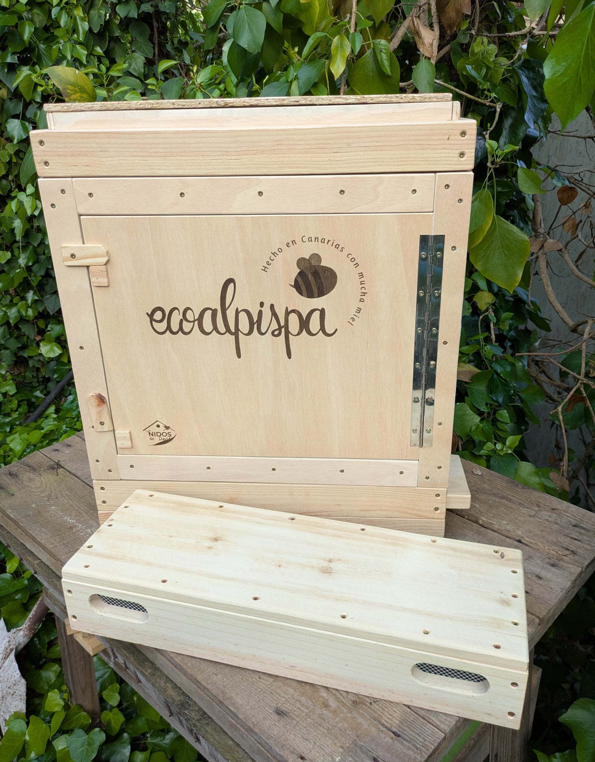 Colmena de observación para abejas melíferas - Los Nidos de David