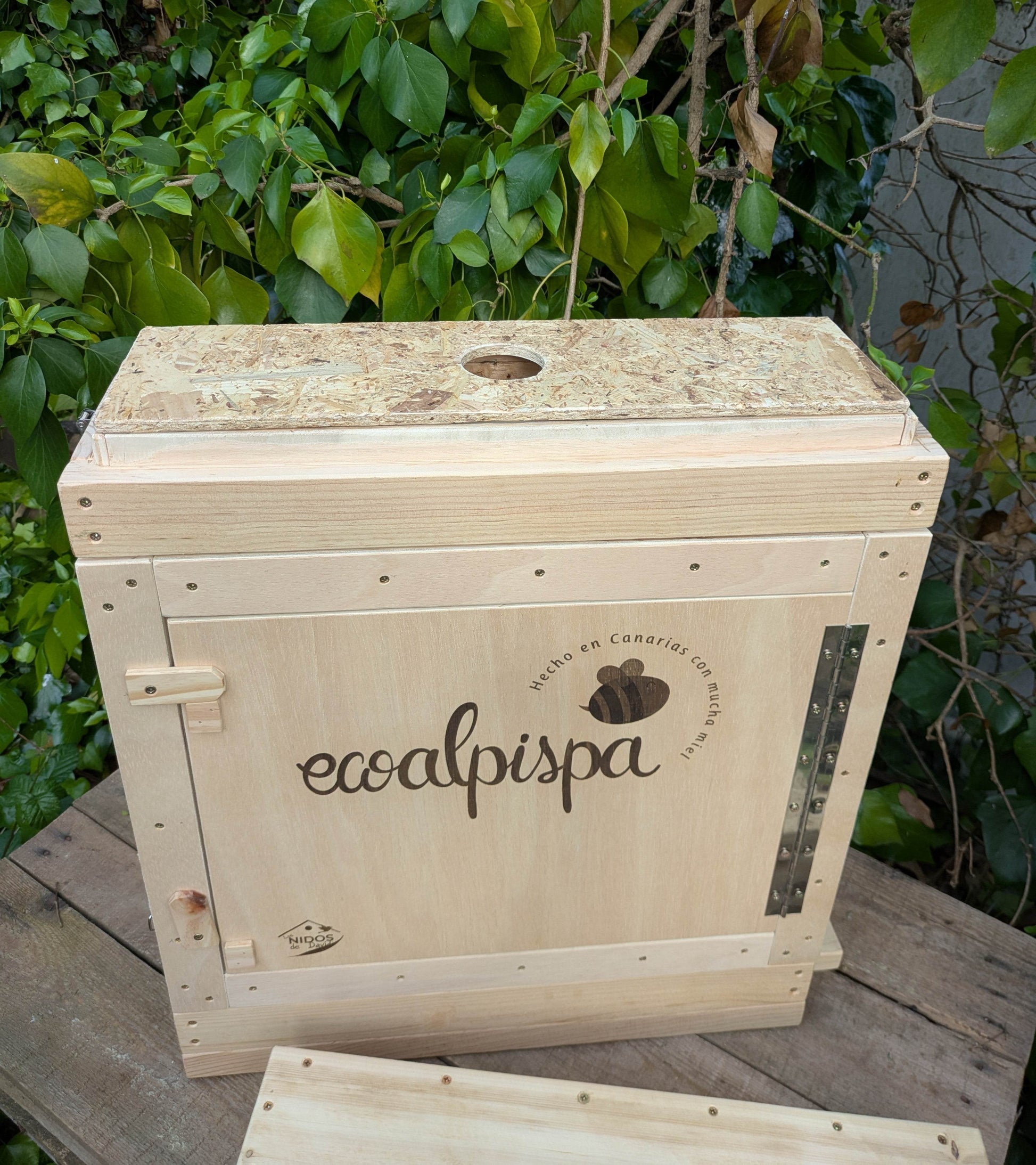 Colmena de observación para abejas melíferas - Los Nidos de David