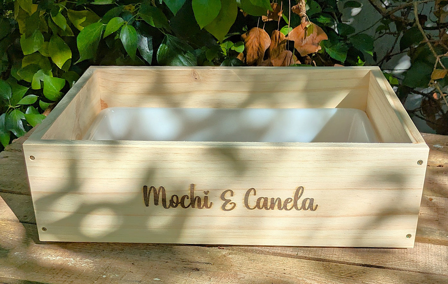 Caja de excavación modelo Dig & Fun
